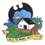 Coloridas Fallas Valencia